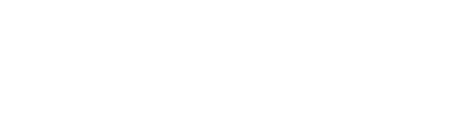 Pensy.AI wordmark, reversed